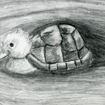 Turtle Duck Pencil Drawing ..