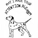 Dalmatian Dog Drawing Blank..