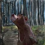 Brown Bear Illu..