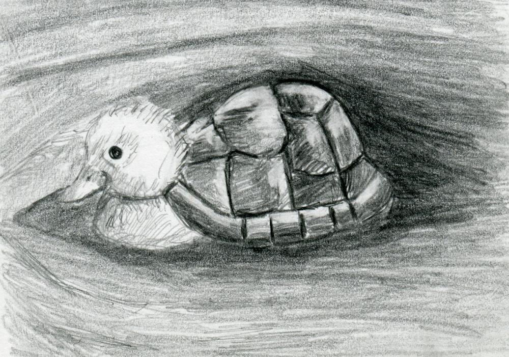 Turtle Duck Pencil Drawing Black and White Print - Hybrid Animals Series