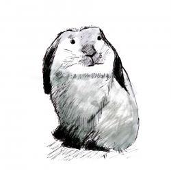 Bunny Rabbit Art Print Black and White Animal Ink Drawing Series  