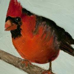 Snow Bird, Cardinal, Fine Art Print