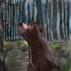 Brown Bear Illustration Art Print from Watercolor Pencil Drawing
